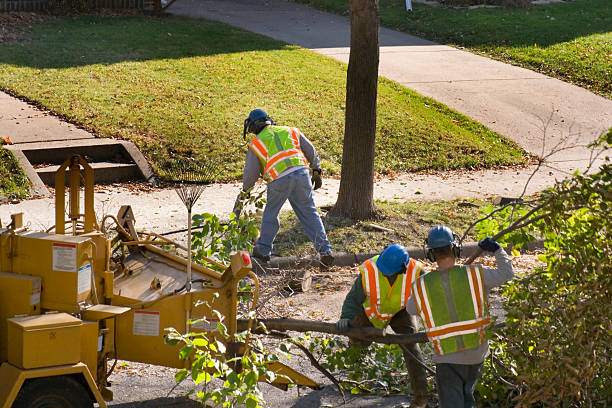 Best Landscape Design and Installation  in Keystone, FL